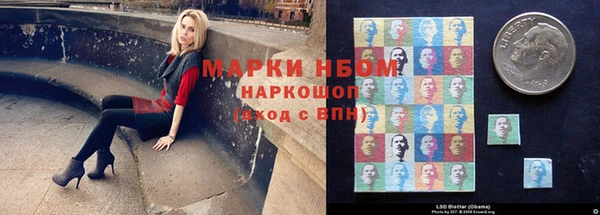 эйфоретик Белокуриха