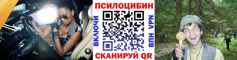 где купить наркотик  Борзя  Псилоцибиновые грибы прущие грибы 